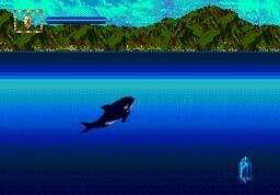 Ecco Jr  Sega Genesis